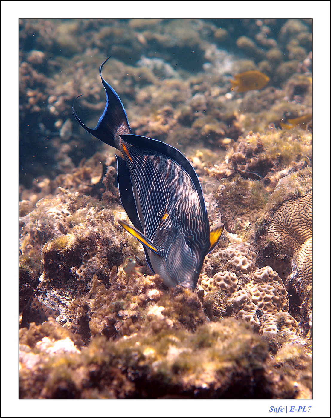 Hurghada - Juillet 2021 - 103